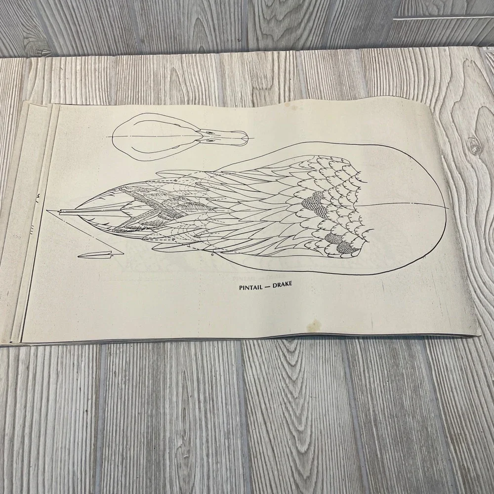 Belleville Area Holzschnitzers Duck Decoy Carving Patterns Lot of 22 Waterfowl